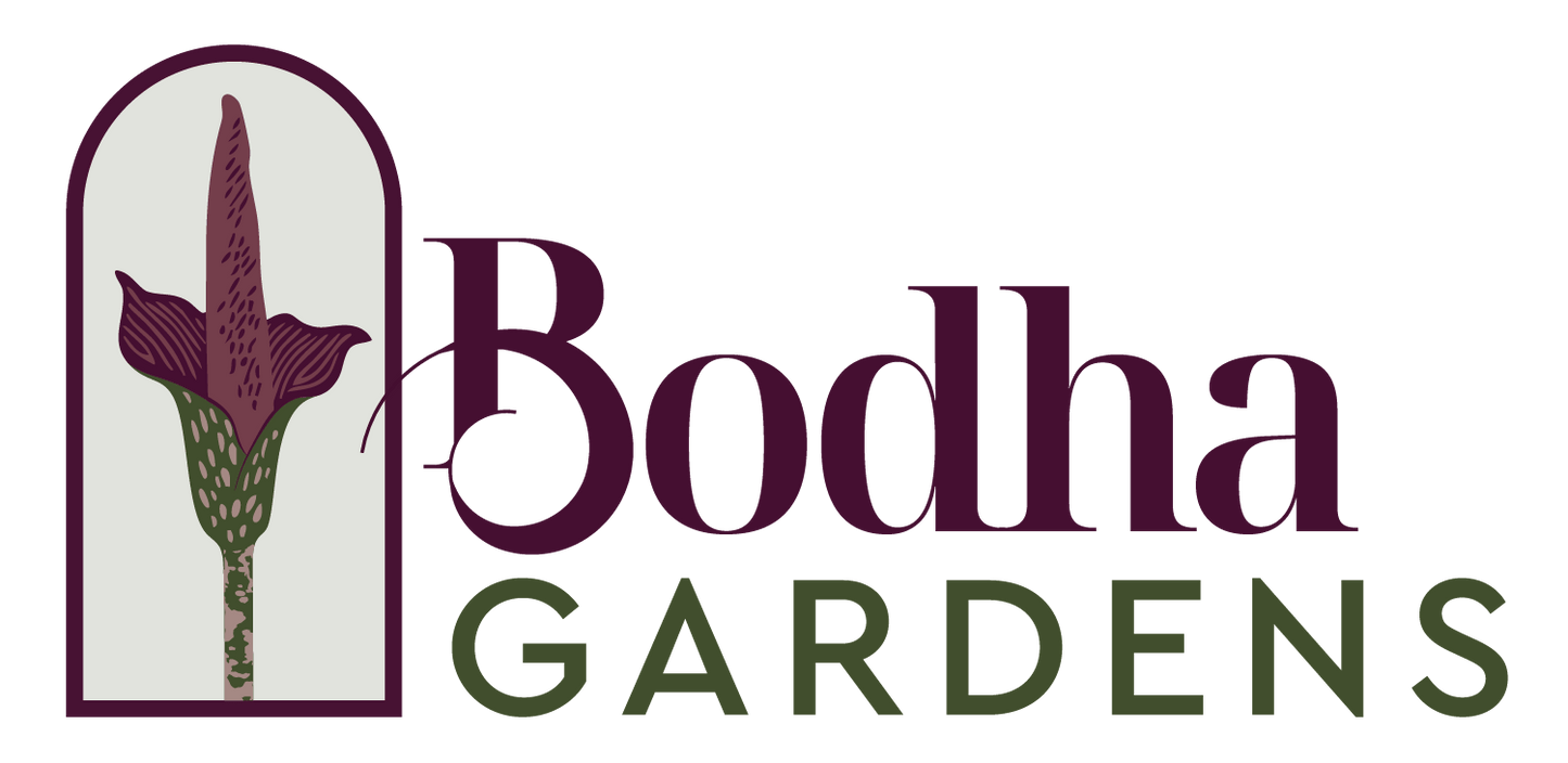 Introduction to Syntropic Farming Course Porvenir & Bodha Gardens - Jan 23-25, 2025