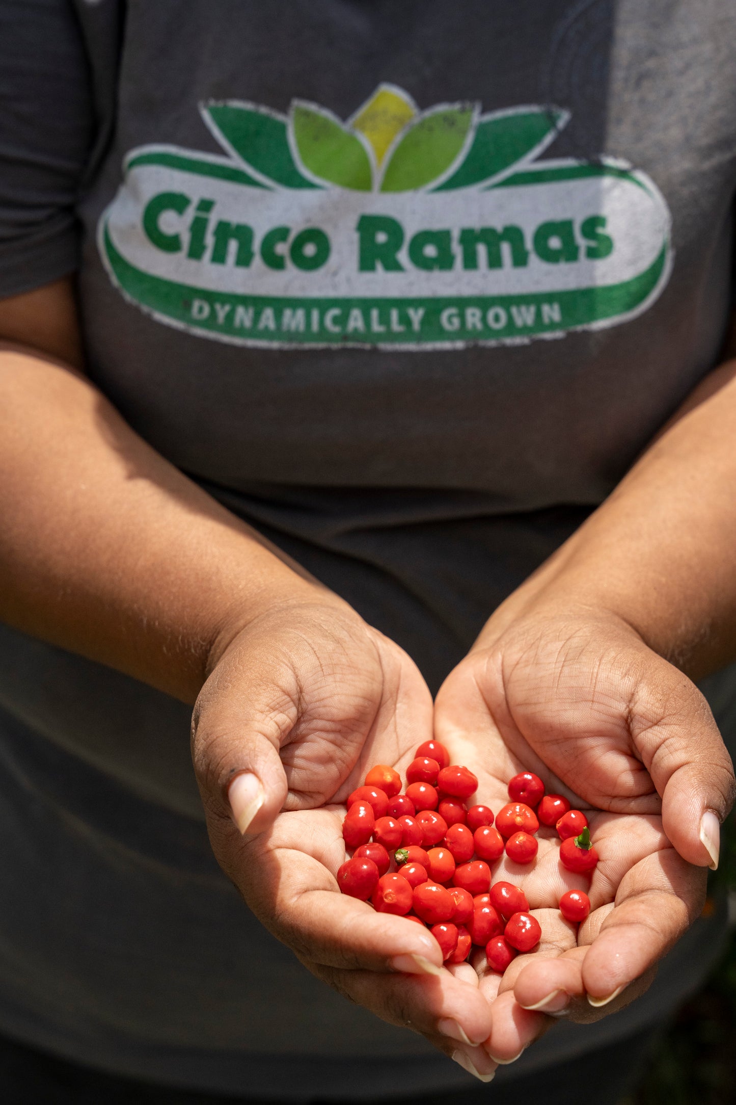 Organic Whole Wild Peruvian Chili