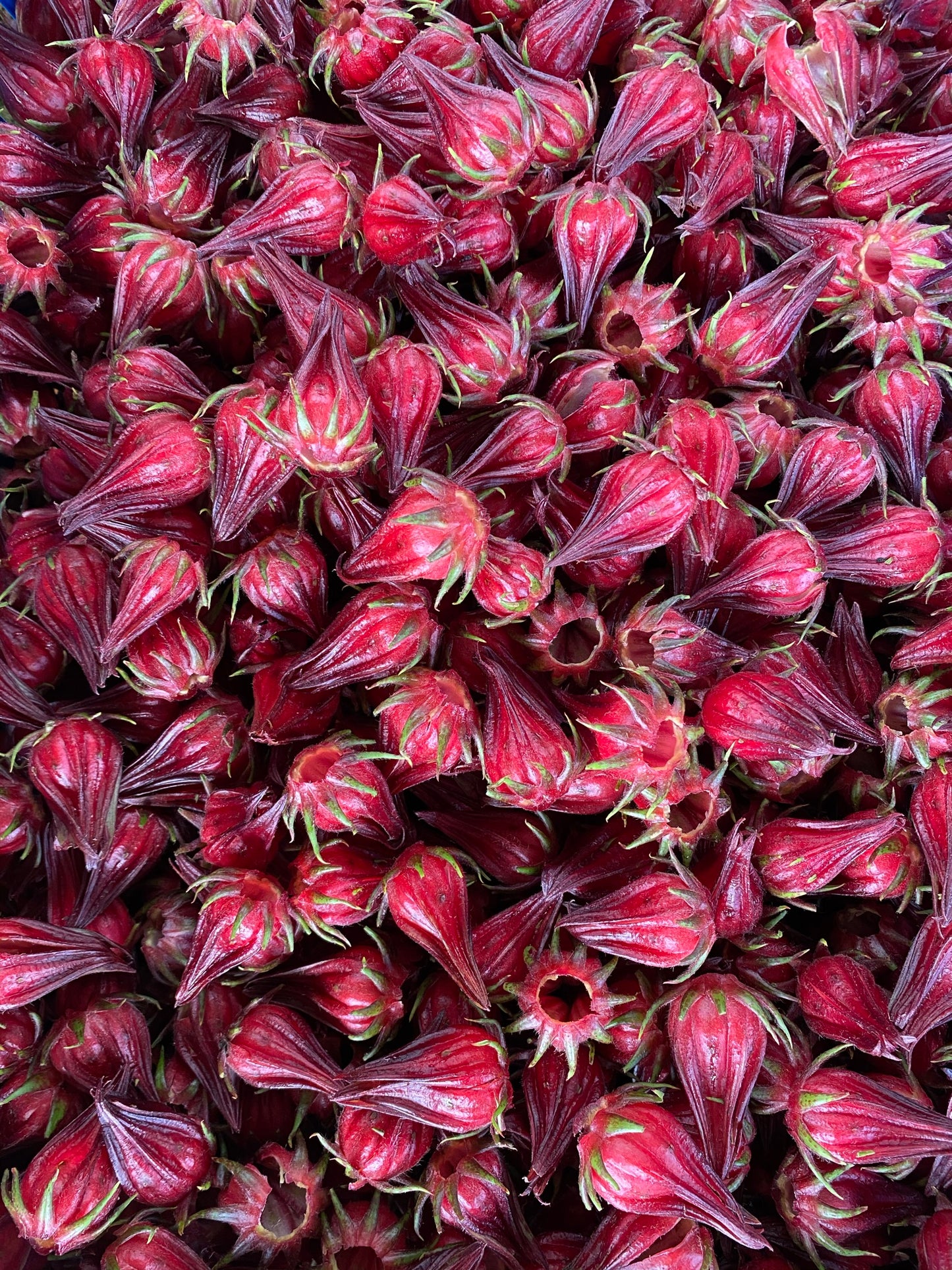 Organic Roselle (Hibiscus Flower)