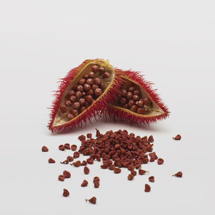 Organic Whole Annatto Seed